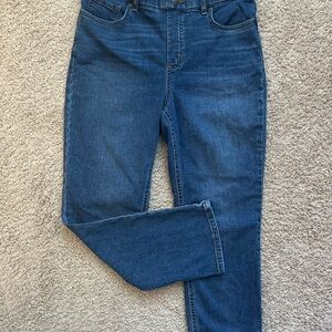 Lee Women's Classic Blue Skinny Jeans